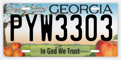 GA license plate PYW3303