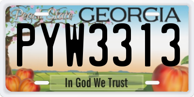 GA license plate PYW3313