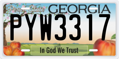 GA license plate PYW3317