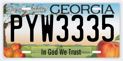 GA license plate PYW3335