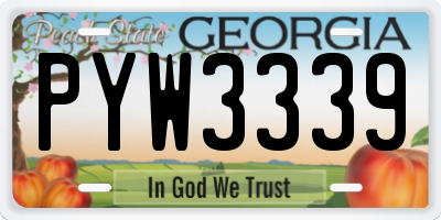 GA license plate PYW3339
