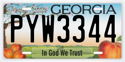 GA license plate PYW3344