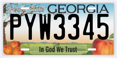 GA license plate PYW3345