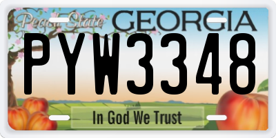 GA license plate PYW3348