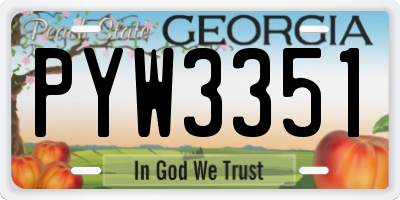 GA license plate PYW3351