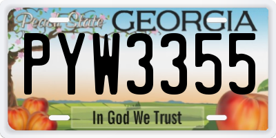 GA license plate PYW3355