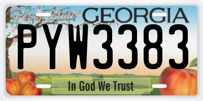 GA license plate PYW3383