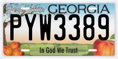 GA license plate PYW3389