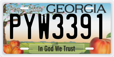 GA license plate PYW3391