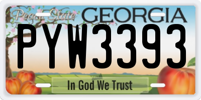GA license plate PYW3393