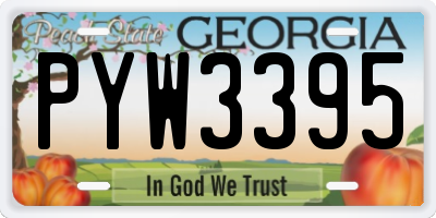GA license plate PYW3395