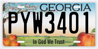 GA license plate PYW3401