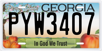 GA license plate PYW3407