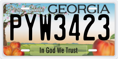 GA license plate PYW3423