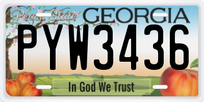 GA license plate PYW3436