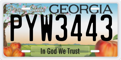 GA license plate PYW3443