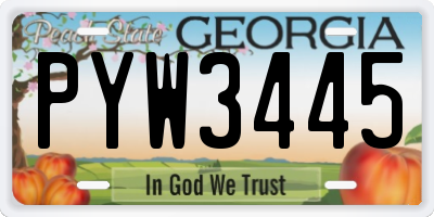 GA license plate PYW3445