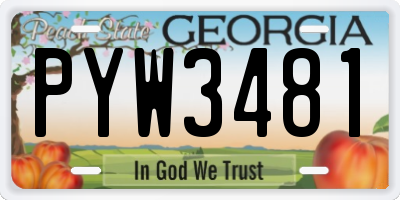 GA license plate PYW3481