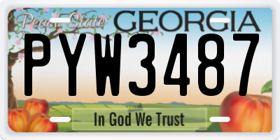 GA license plate PYW3487