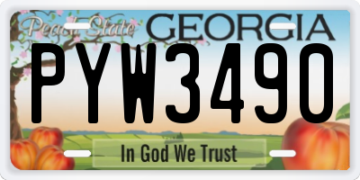 GA license plate PYW3490