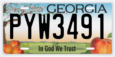 GA license plate PYW3491