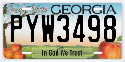 GA license plate PYW3498