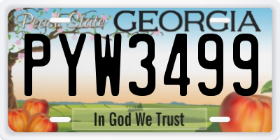 GA license plate PYW3499