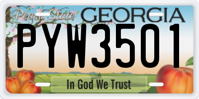 GA license plate PYW3501