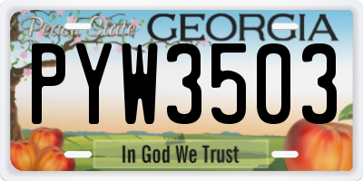 GA license plate PYW3503