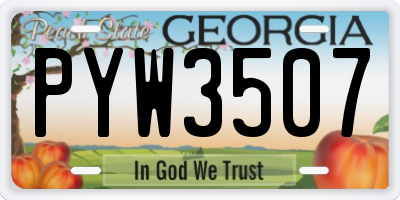 GA license plate PYW3507