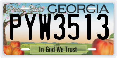 GA license plate PYW3513