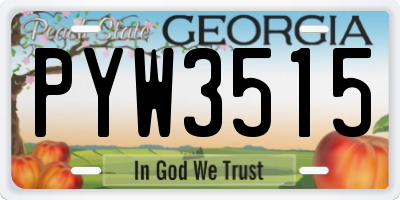 GA license plate PYW3515