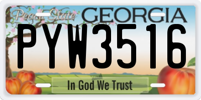 GA license plate PYW3516