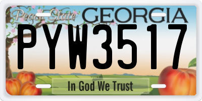 GA license plate PYW3517
