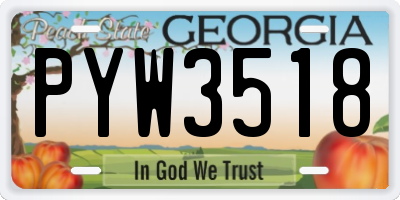 GA license plate PYW3518