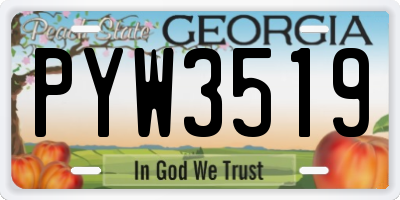 GA license plate PYW3519