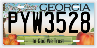 GA license plate PYW3528