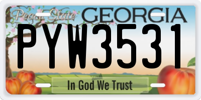 GA license plate PYW3531