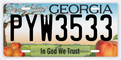 GA license plate PYW3533