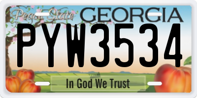 GA license plate PYW3534