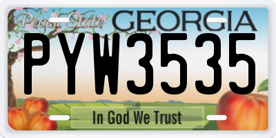 GA license plate PYW3535