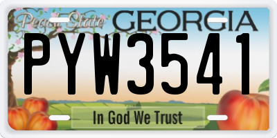 GA license plate PYW3541
