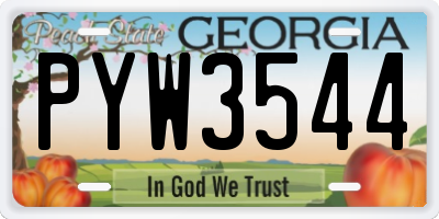 GA license plate PYW3544