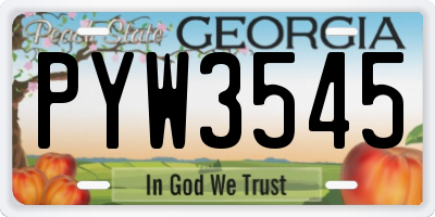 GA license plate PYW3545