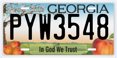 GA license plate PYW3548