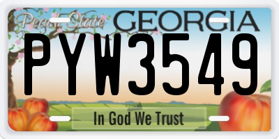 GA license plate PYW3549