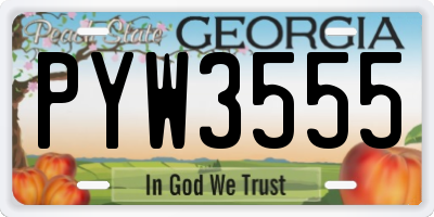 GA license plate PYW3555