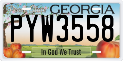 GA license plate PYW3558