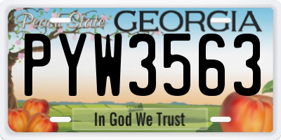 GA license plate PYW3563