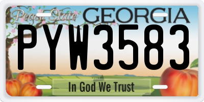 GA license plate PYW3583